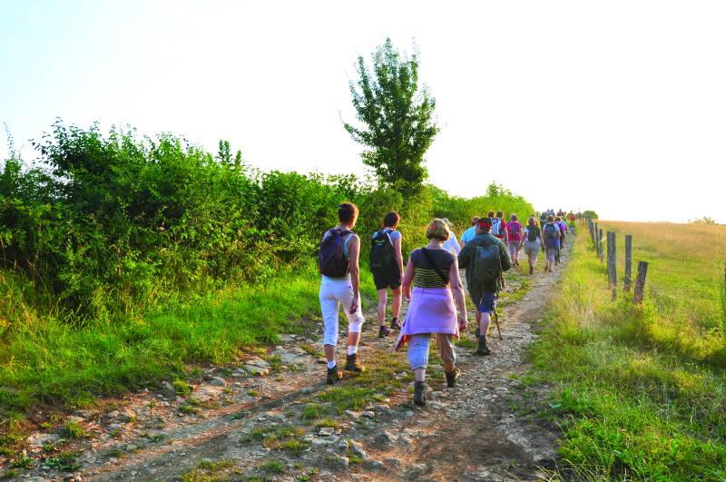 Randonnée : Le panoramique de la Vallée de la Saône 13km