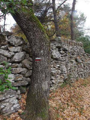 Randonnée : Le sentier vigneron de Trets