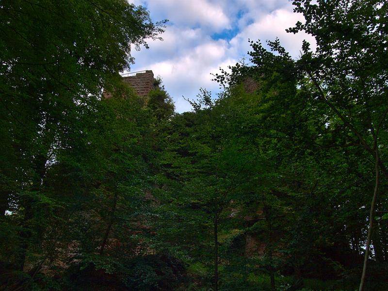Randonnée : À l'ombre du grand Arnsbourg