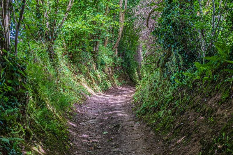 Randonnée : Trail > A la découverte du bocage coutançais