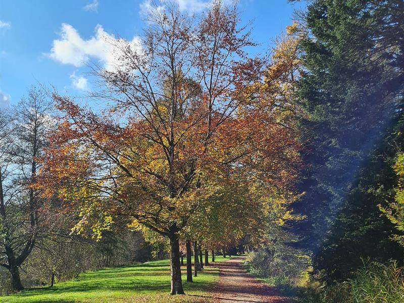 Randonnée : Circuit Pédestre 07 -  L'Anger - 16.5 km