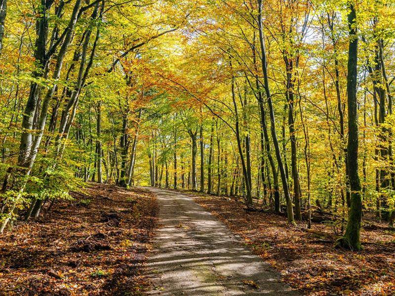 Randonnée : Randonnée au fil du Durschbach