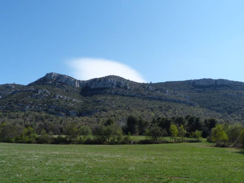 Randonnée : Circuit pédestre dans le Domaine Départemental de Pichauris "Les Grands Ubacs"