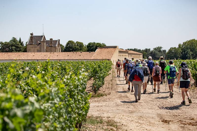 Randonnée : Les vignobles à vélo - la boucle des Châteaux de Pauillac