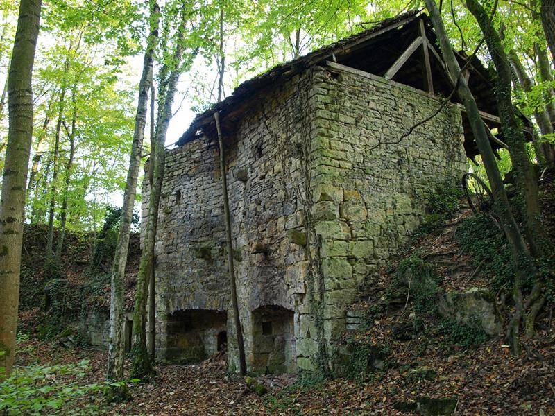Randonnée : Randonnée pédestre Wittersdorf Emlingen