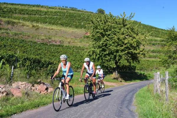 Randonnée : Circuit cyclo dans le vallon de Marcillac