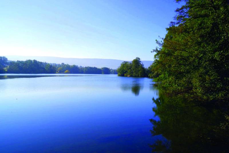 Randonnée : Entre Abbaye et Châteaux 22 km