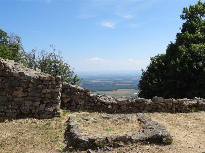 Randonnée : Marche santé Masevaux Montori