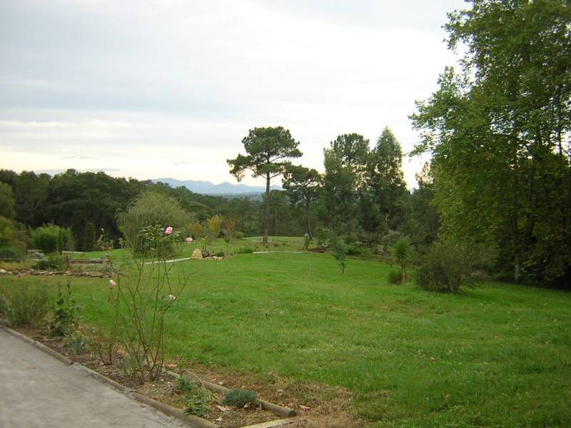 Randonnée : Les sentiers d'Arremont (4 km)