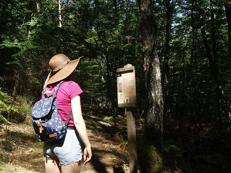 Randonnée : Sentier poétique du Seelberg