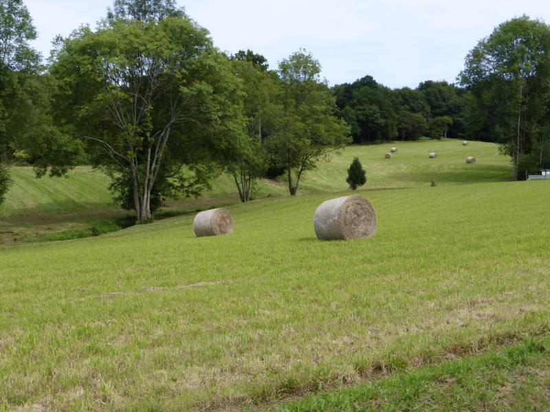 Randonnée : Maucor : Berges du Laaps