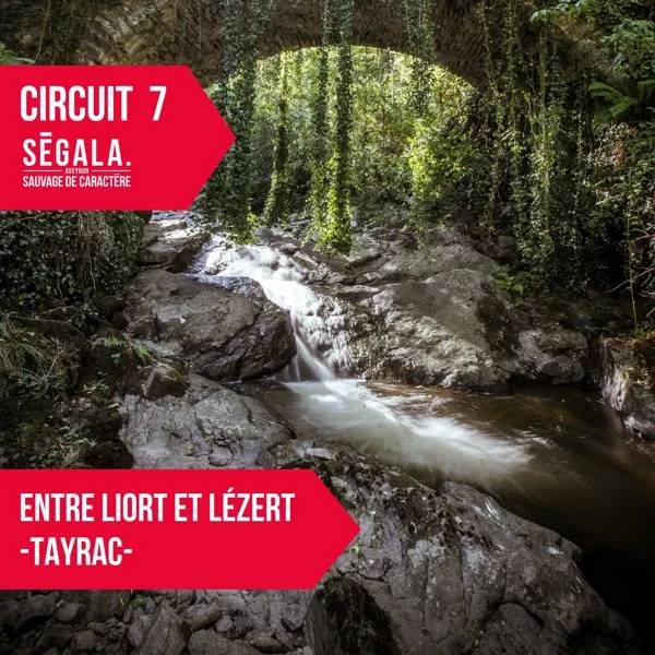 Randonnée : circuit VTT VAE - Entre Liort et Lézert - Tayrac