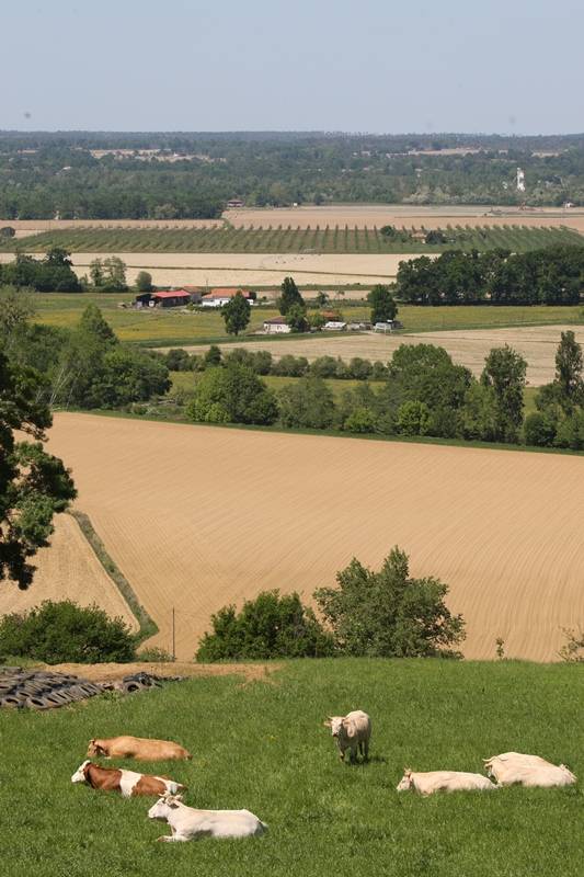 Randonnée : A Banos, circuit des belvédères