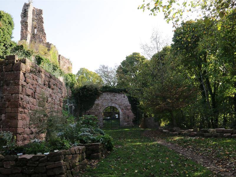 Randonnée : Sur les traces du Château de Guirbaden