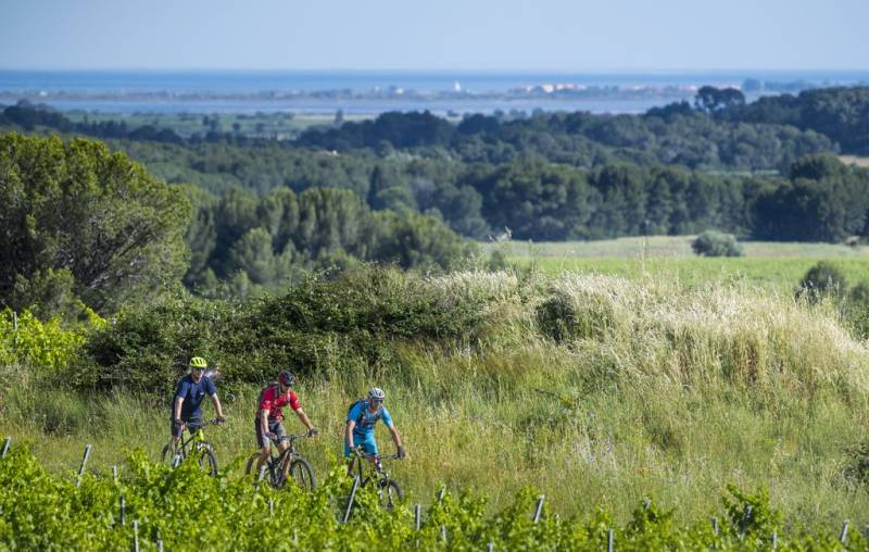 Randonnée : CIRCUIT VTT 18: LE PETIT PICPOUL - ESPACE VTT/GRAVEL CAP D'AGDE MÉDITERRANÉE