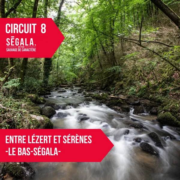 Randonnée : circuit VTT VAE - Entre Lézert et Serènes - Le Bas Ségala