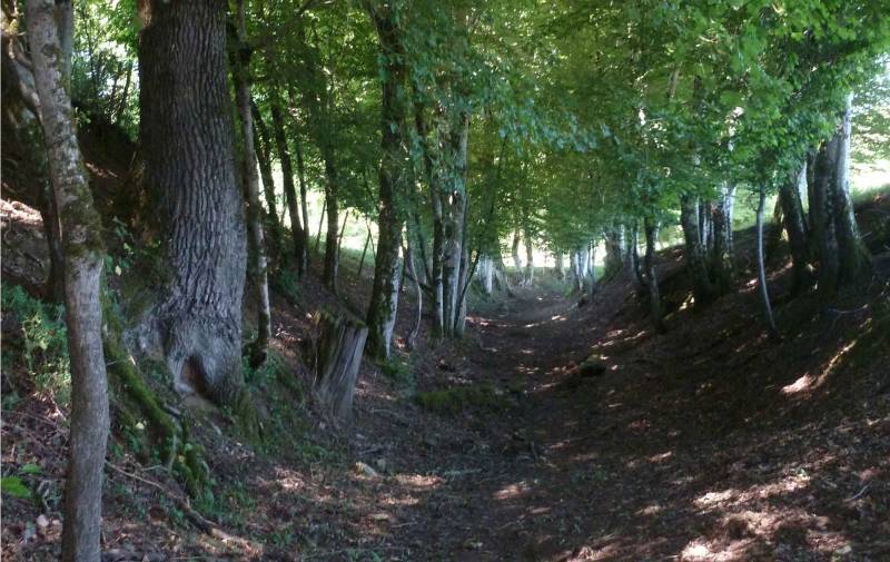 Randonnée : Les sentiers de Meilhac