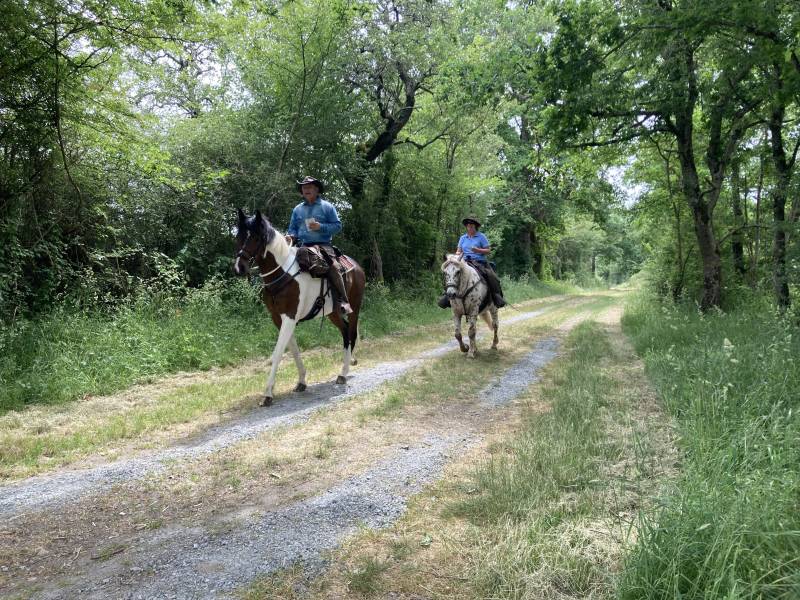 Randonnée : La Brenne en gravel : Route Européenne d'Artagnan