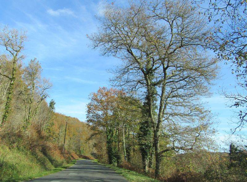 Randonnée : Circuit à vélo "Au Pays des Croquants"
