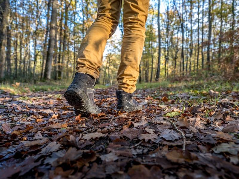 Randonnée : Circuit de la réserve naturelle régionale géologique