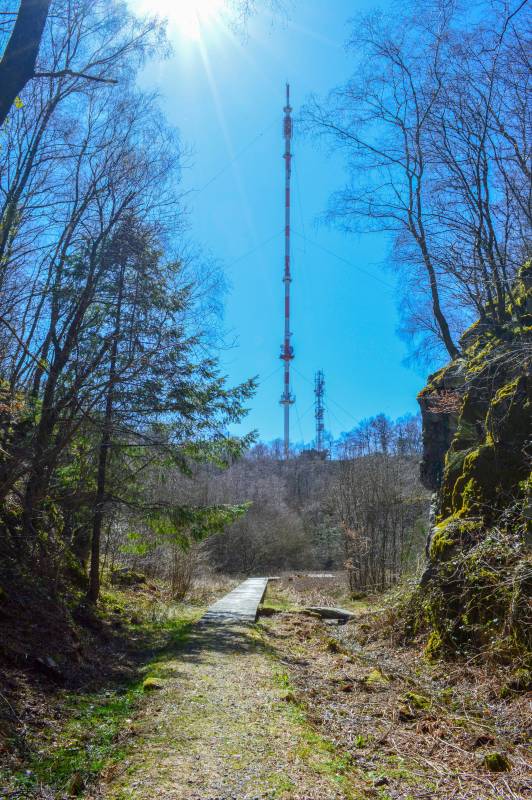 Randonnée : Circuit Trail n°1 : La vergnolle