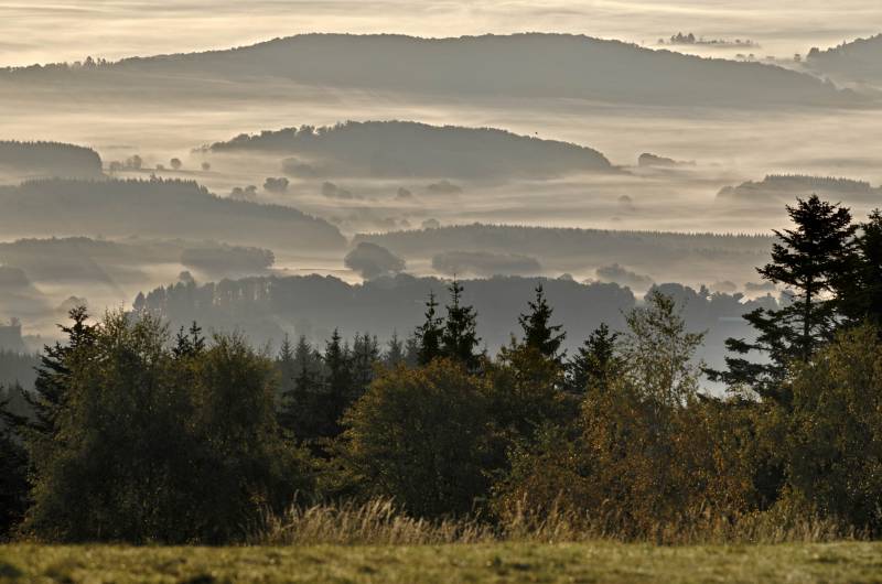 Randonnée : Vers les Bois du Folin
