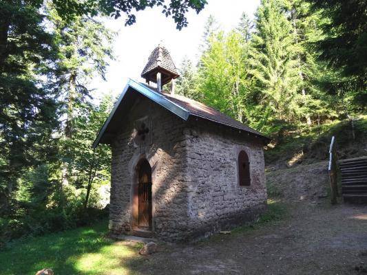 Randonnée : Circuit de la source de la Vezouze