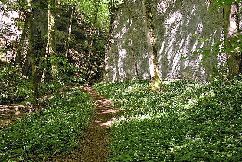 Randonnée : Sentier de découverte du site de la Vingeanne