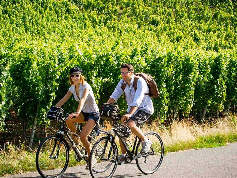 Randonnée : Vignoble et vallon d'Alsace à vélo