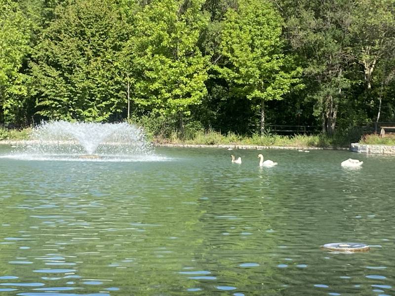 Randonnée : Le jardin de Gaston