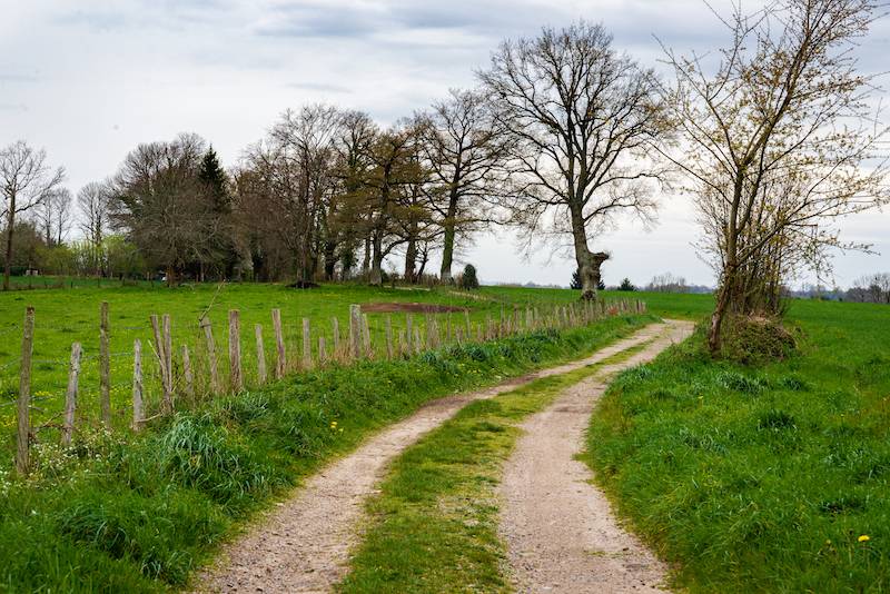 Randonnée : Sentier des aurieres