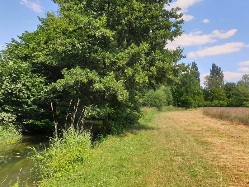 Randonnée : Du mont Volant aux Ployes