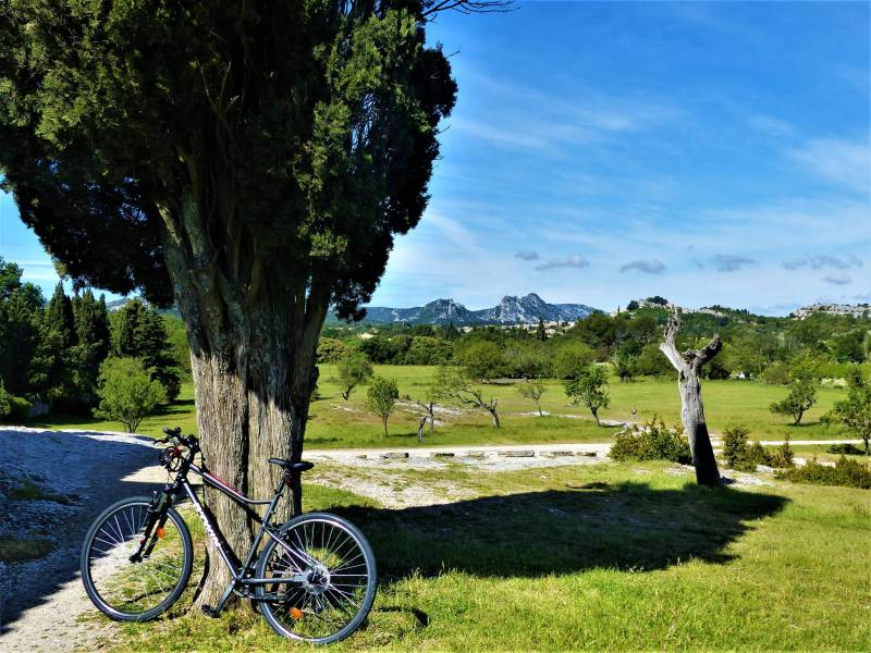 Randonnée : ORGON - Alpilles-Roquemartine à vélo : la variante d'Orgon