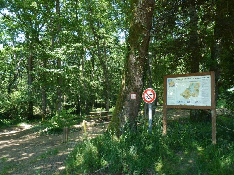 Randonnée : Le bois de Sauvagnon