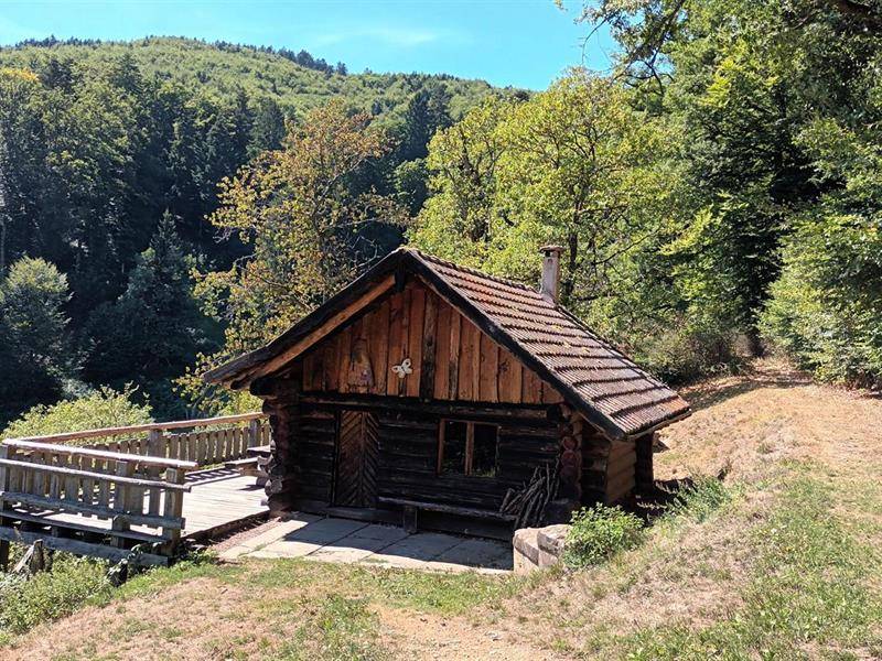 Randonnée : Circuit du chalet Grambaechle