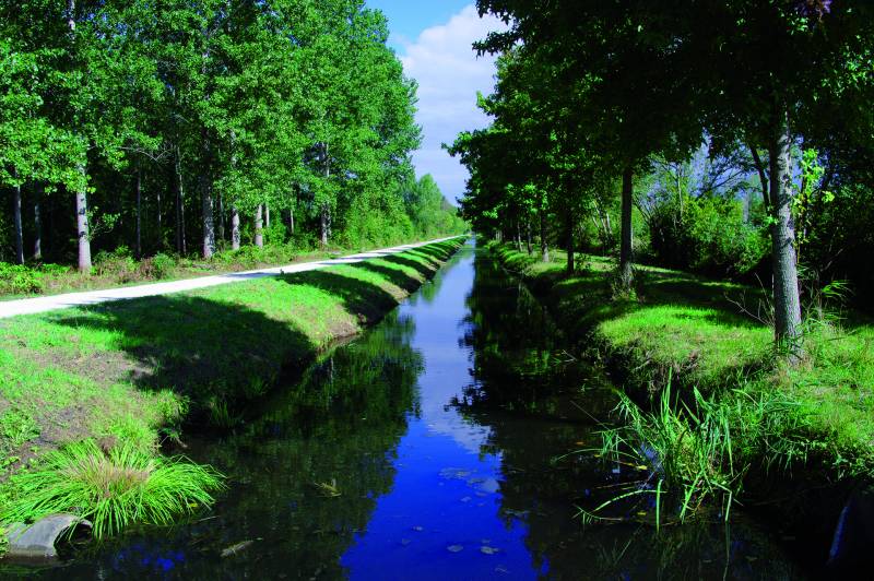 Randonnée : Du fil de l'eau aux Châteaux : Saint-Laurent du Médoc