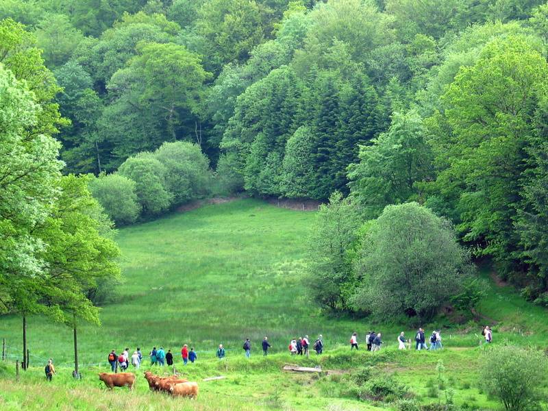 Randonnée : Base VTT FFC des Monts du Limousin - Circuit 15 L’oppidum