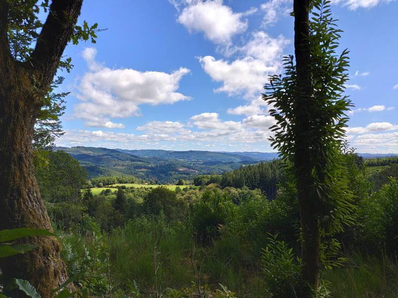 Randonnée : Circuit du Suquet de la Grolle