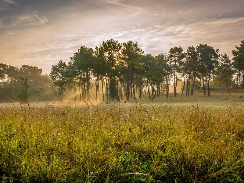 Randonnée : Les puys du Chinonais