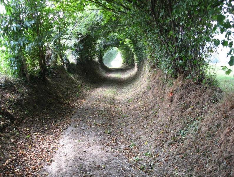 Randonnée : La vallée de la Souleuvre
