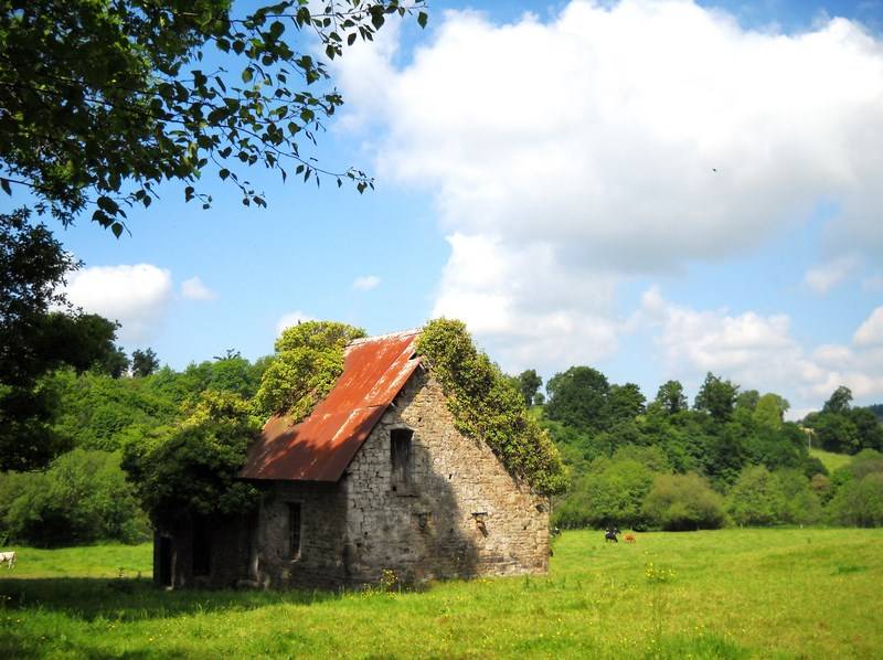 Randonnée : Entre bois et vallée