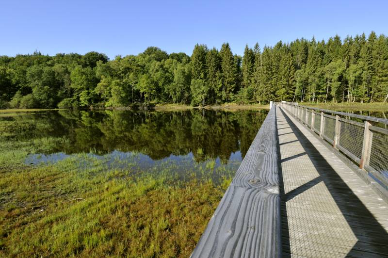 Randonnée : Tour de l'île de Vassivière