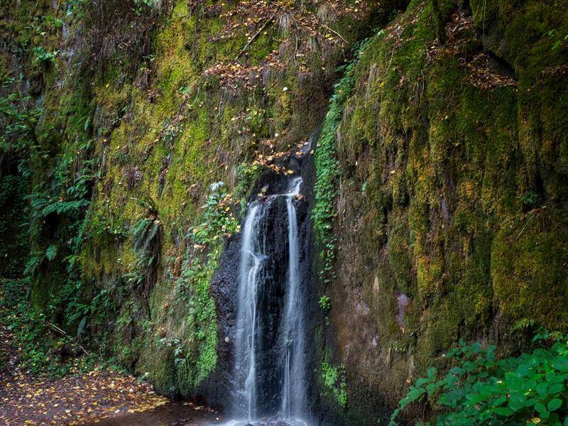 Randonnée : Circuit VTT B05 : De Urmatt à la cascade de Soultzbach