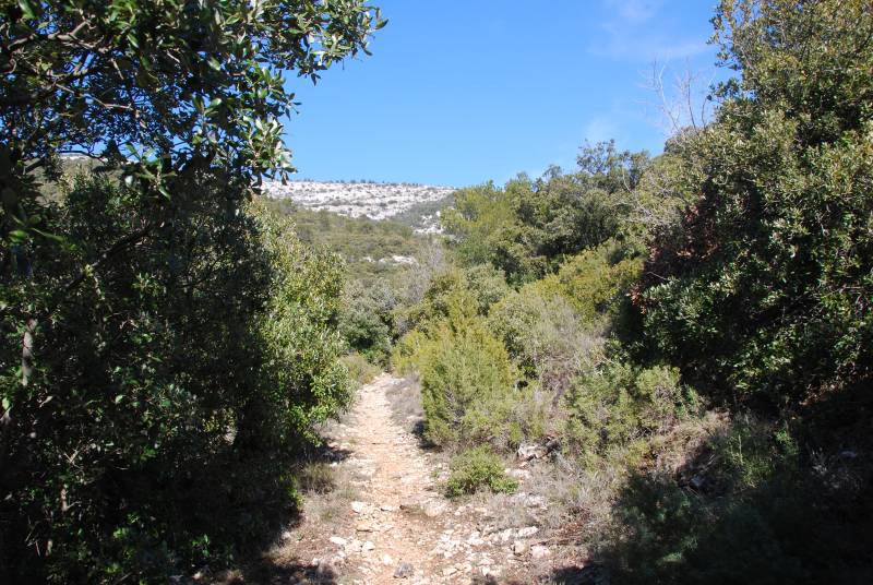 Randonnée : Le pic de Bertagne par le col de l`Ange