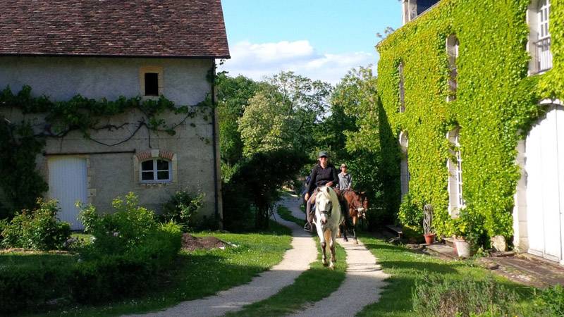Randonnée : La Brenne à cheval : circuits en marguerite au départ du Manoir de Saint-Victor