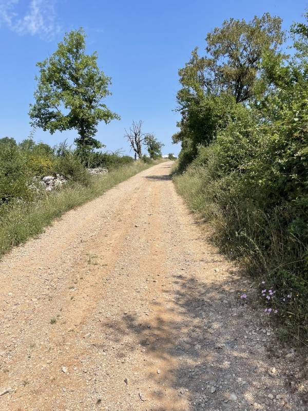 Randonnée : De Loubressac aux abords de la Dordogne