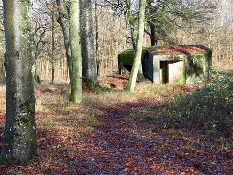 Randonnée : Route de la ligne Maginot aquatique