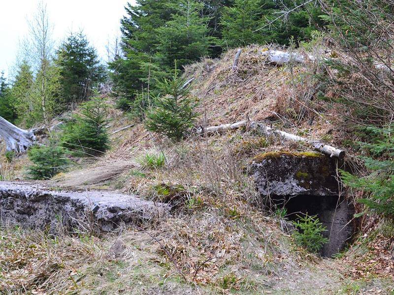 Randonnée : Circuit rando D01 : Le sentier des bunkers