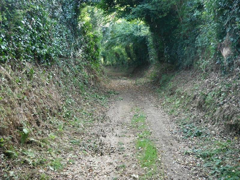 Randonnée : Entre bois et landes