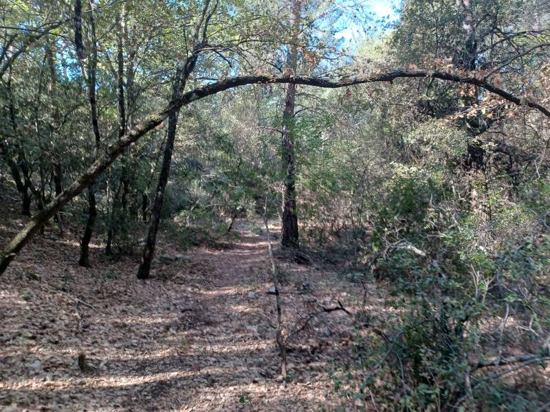 Randonnée : Le bois de la Lare